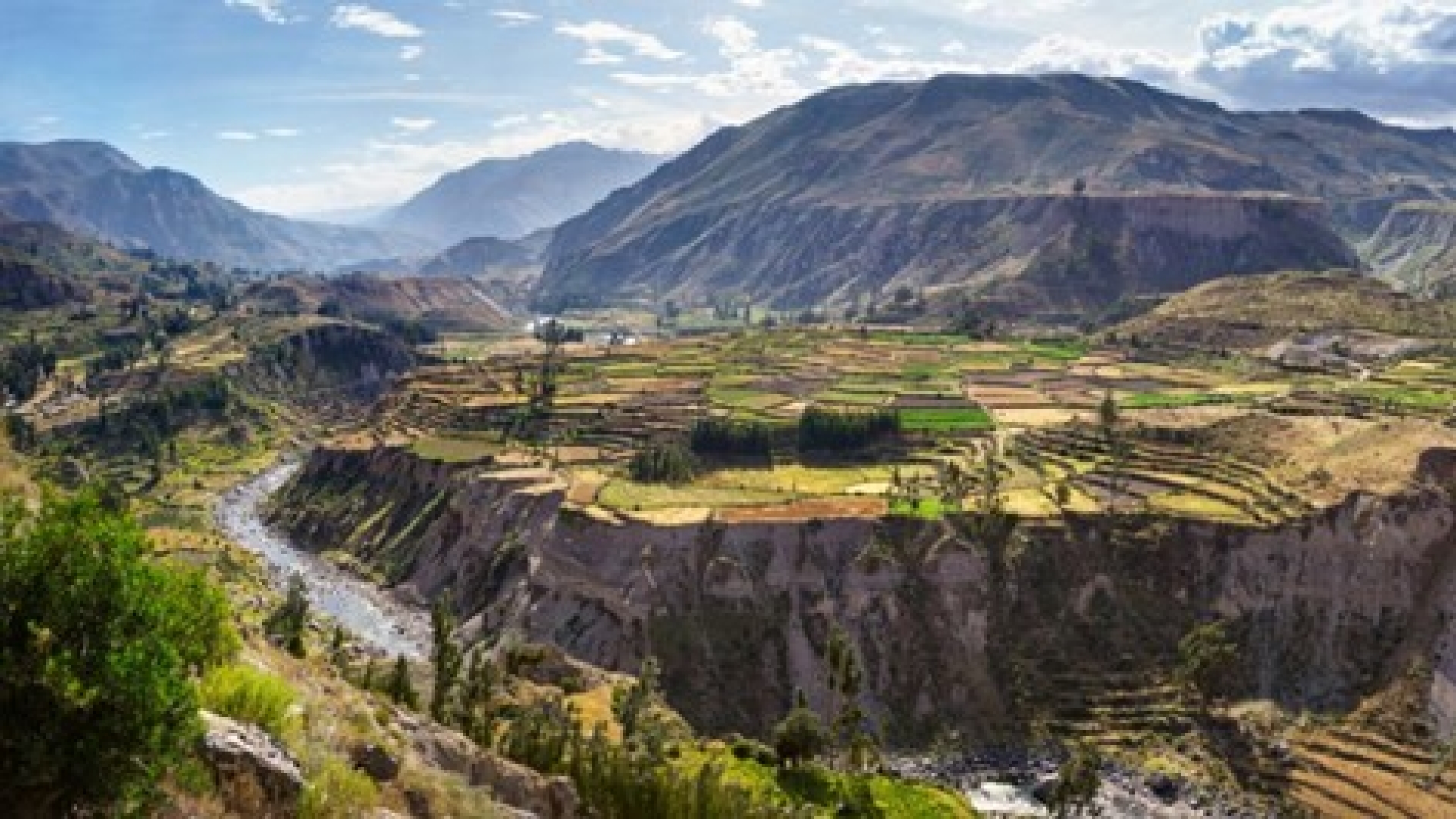 listing-details-carousel