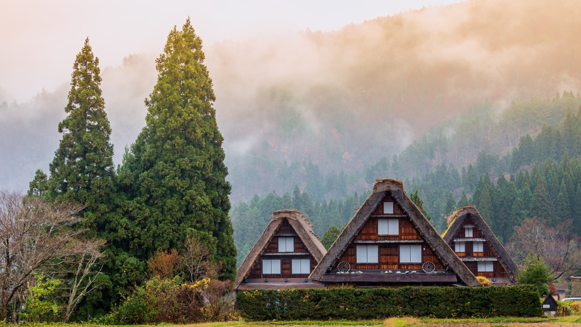 listing-details-carousel