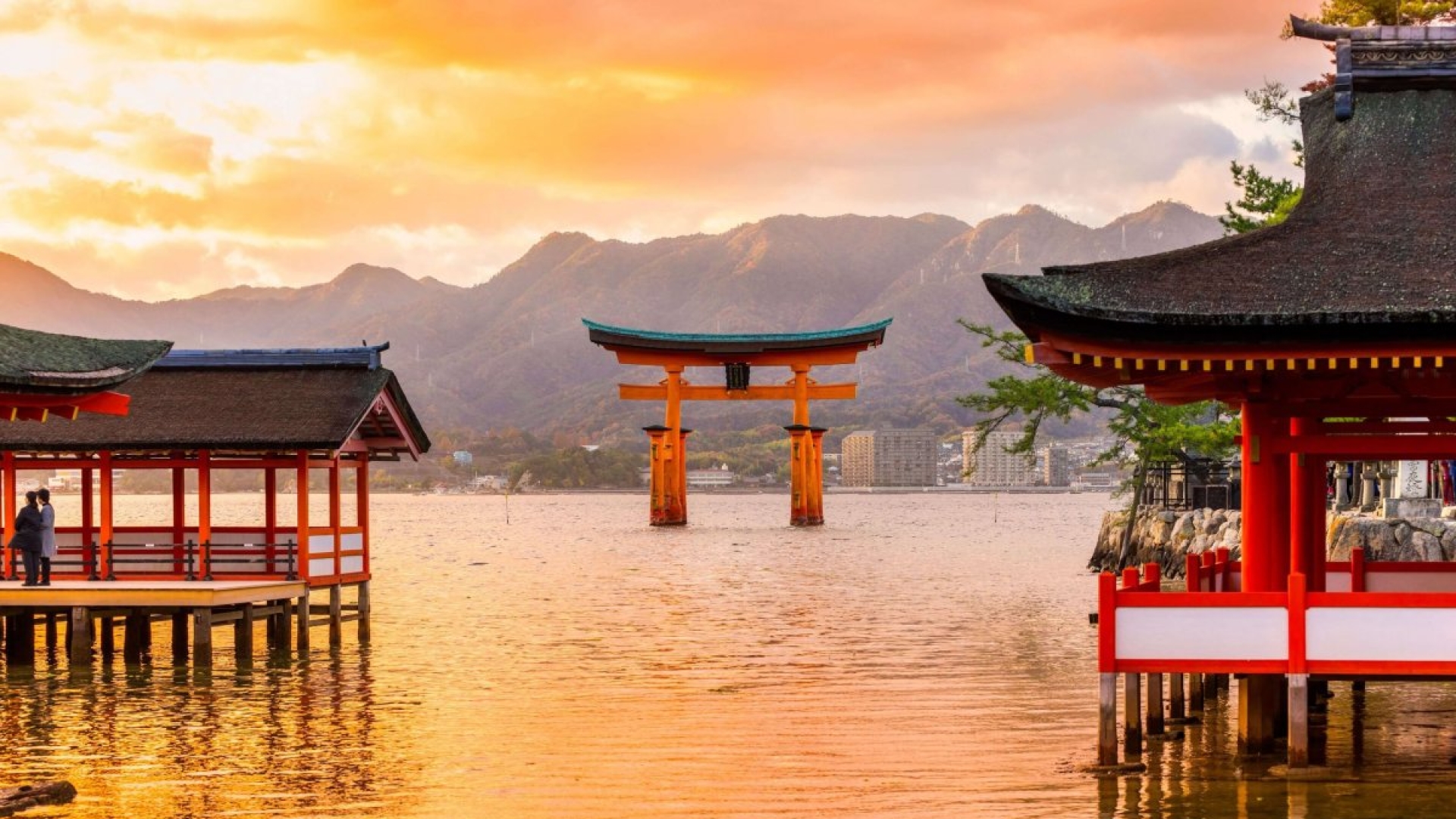 listing-details-carousel