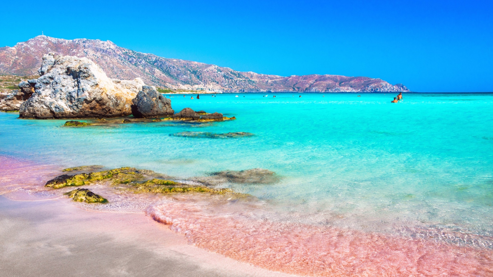 listing-details-carousel